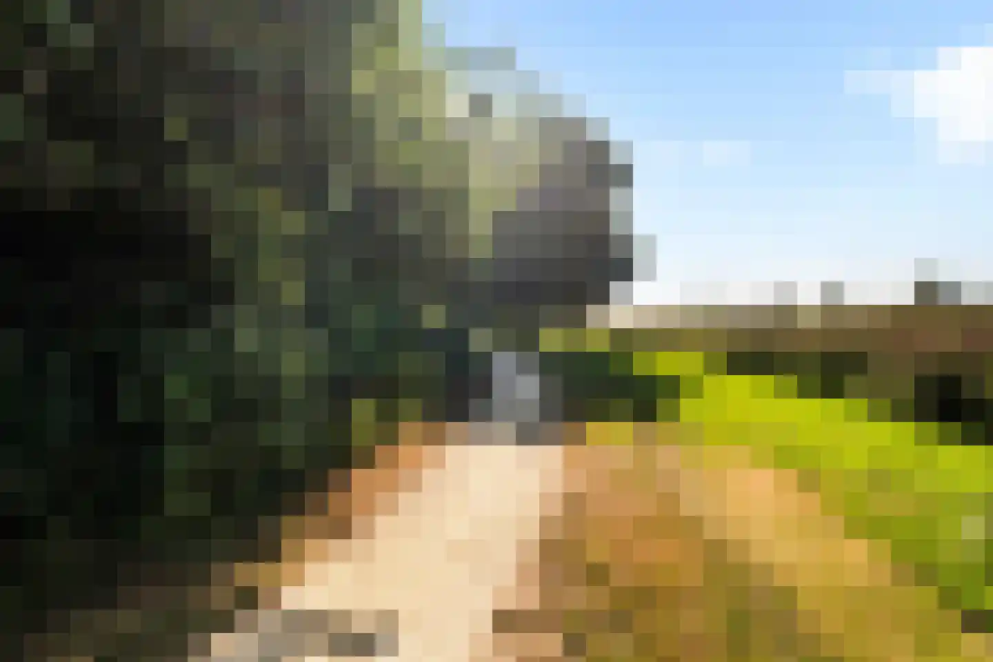 De IJslander 23 Dronten thumbnail 31