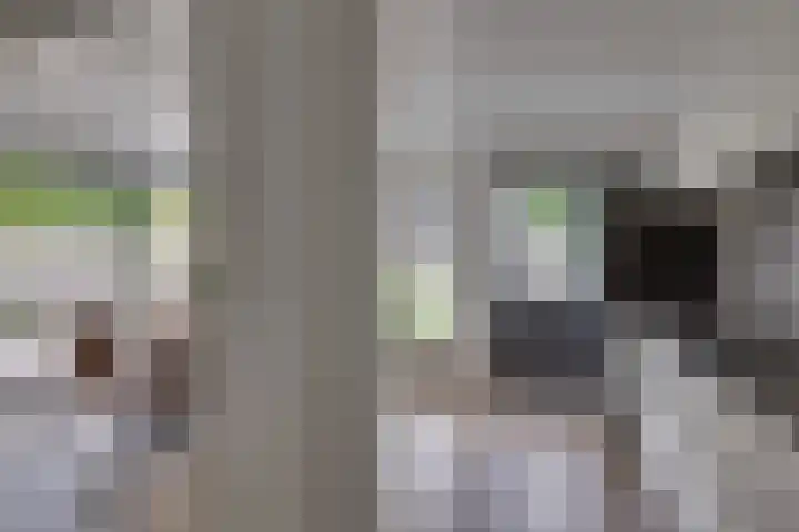 De IJslander 70 Dronten thumbnail 10