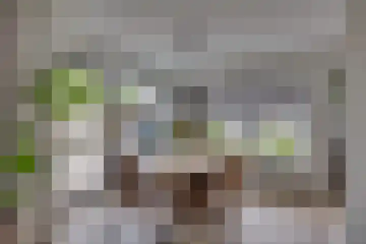De IJslander 70 Dronten thumbnail 11
