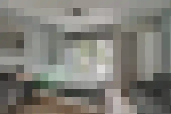 De IJslander 70 Dronten thumbnail 16