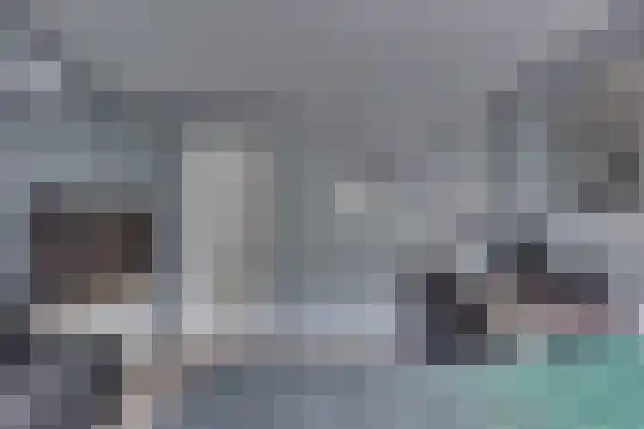 De IJslander 70 Dronten thumbnail 17