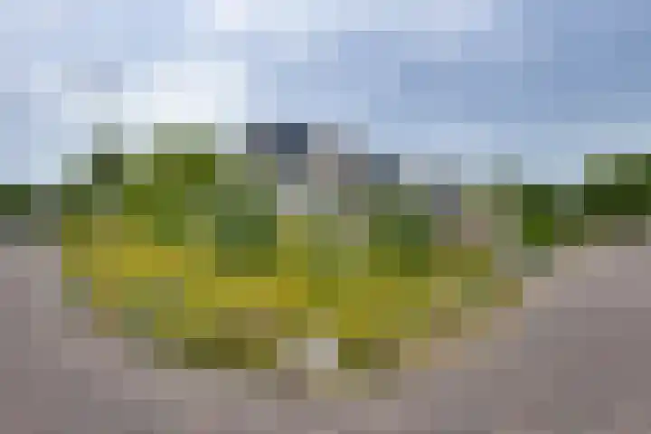 De IJslander 70 Dronten foto 2