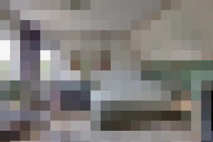 De IJslander 70 Dronten thumbnail 20