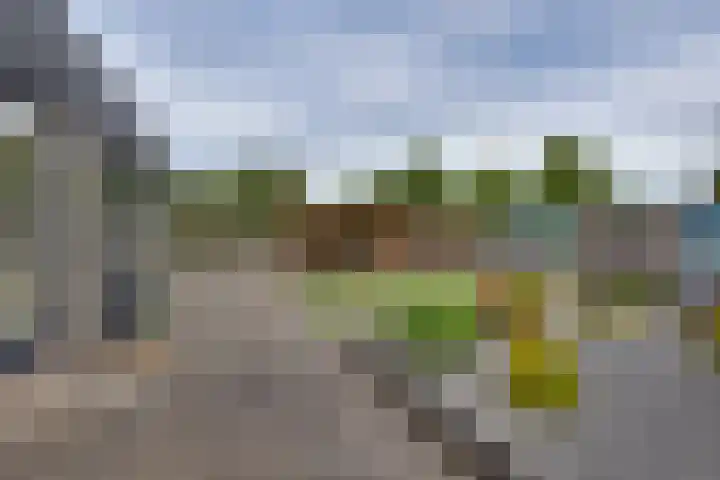 De IJslander 70 Dronten thumbnail 26