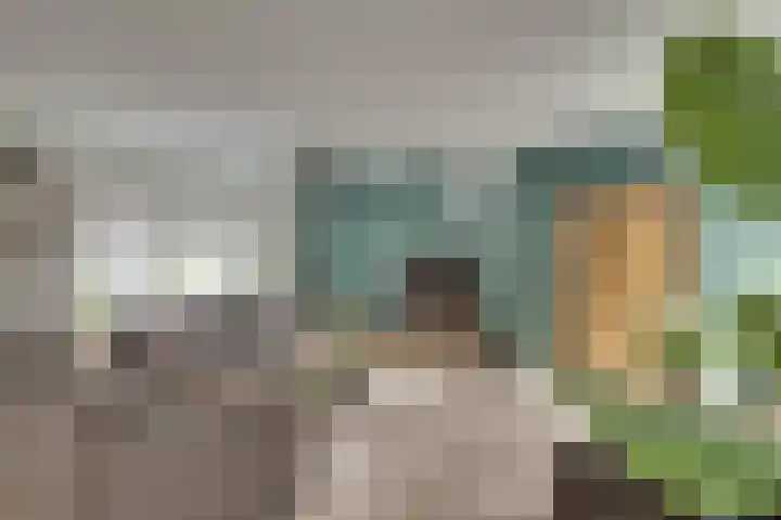 De IJslander 70 Dronten foto 3