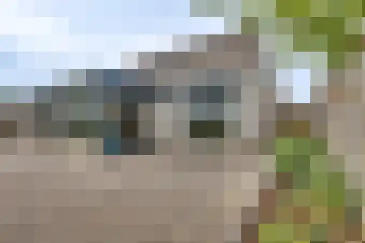 De IJslander 70 Dronten thumbnail 32