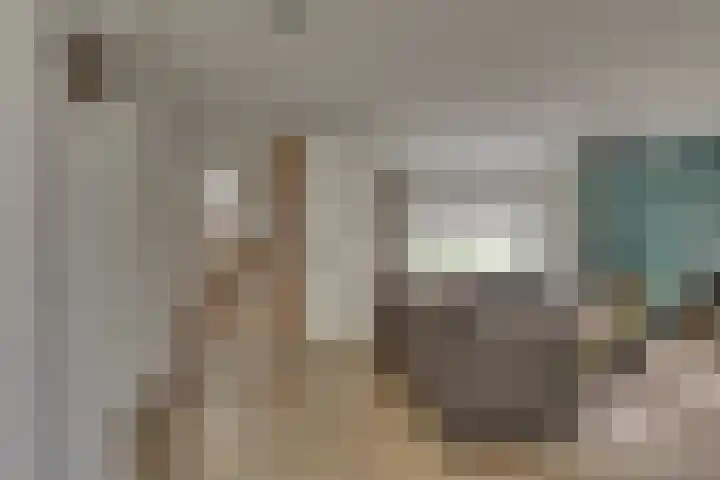 De IJslander 70 Dronten thumbnail 5