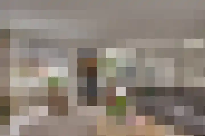 De IJslander 70 Dronten thumbnail 6