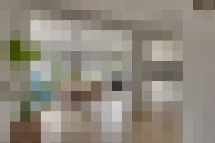 De IJslander 70 Dronten thumbnail 7