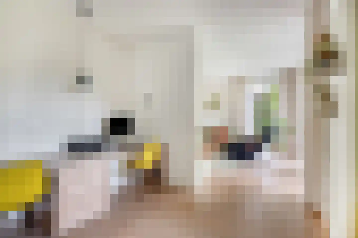 de IJsvogel 13 Denekamp thumbnail 10
