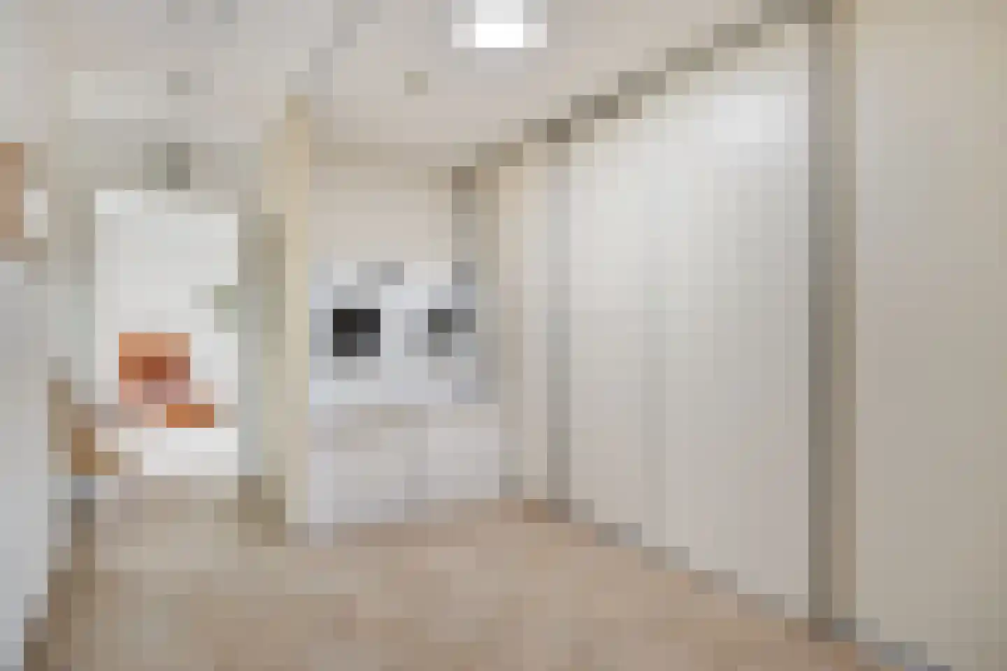 de IJsvogel 13 Denekamp thumbnail 11