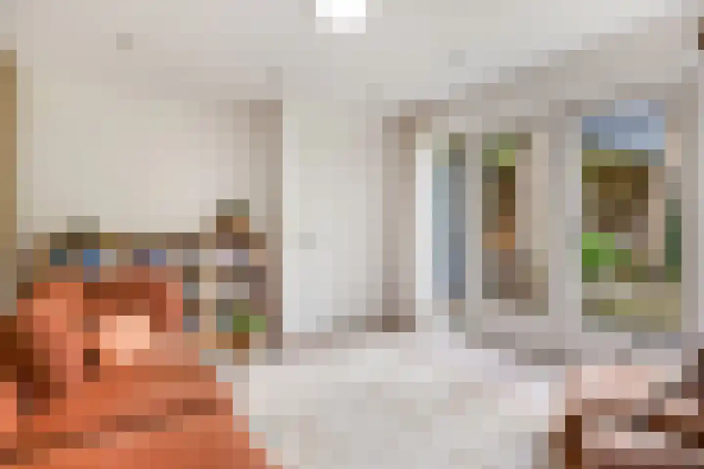 de IJsvogel 13 Denekamp thumbnail 12