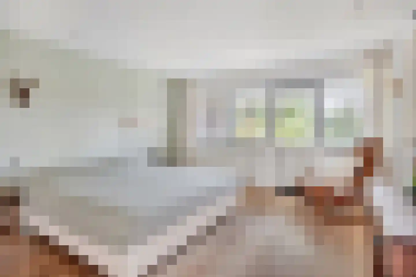 de IJsvogel 13 Denekamp thumbnail 16