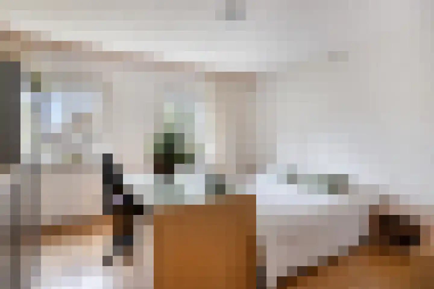 de IJsvogel 13 Denekamp thumbnail 17