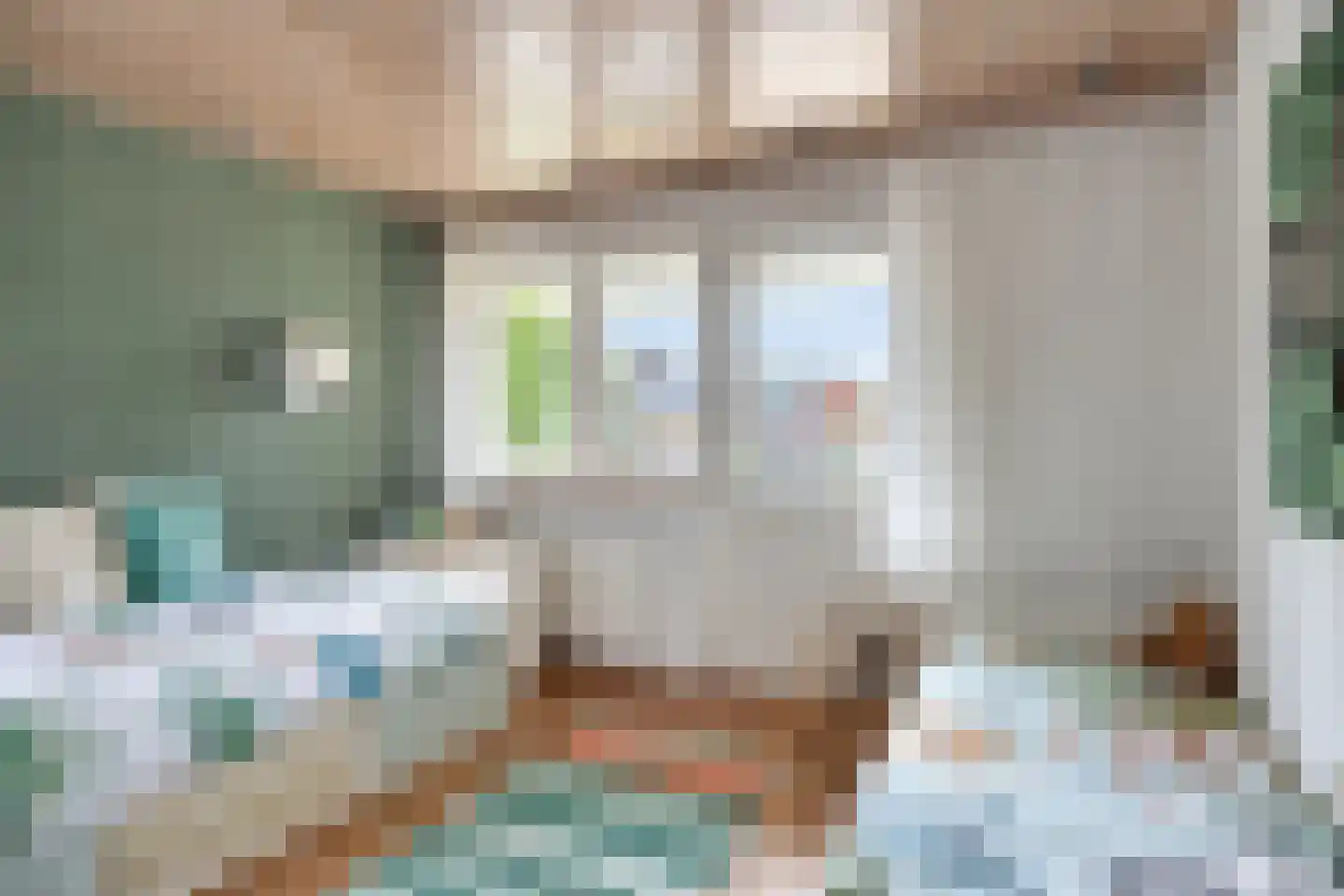 de IJsvogel 13 Denekamp thumbnail 18
