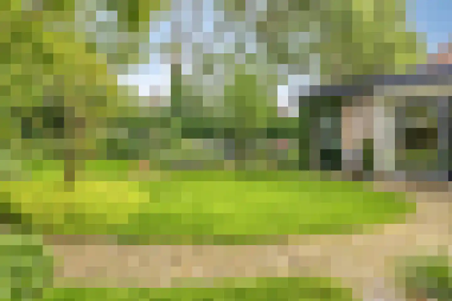 de IJsvogel 13 Denekamp foto 2
