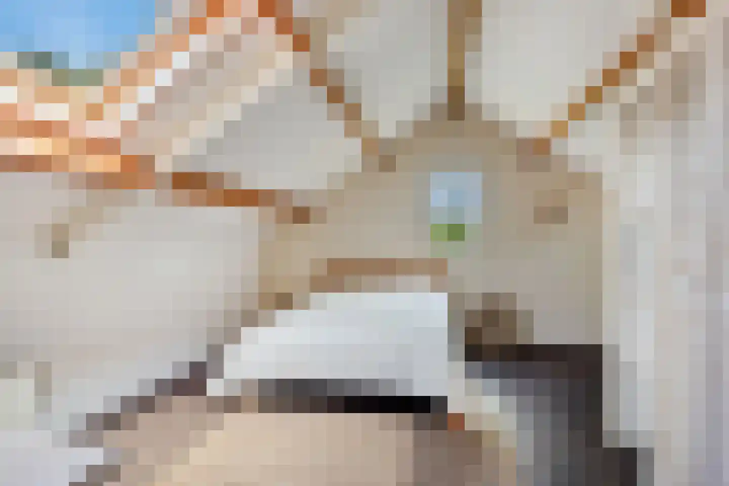 de IJsvogel 13 Denekamp thumbnail 21