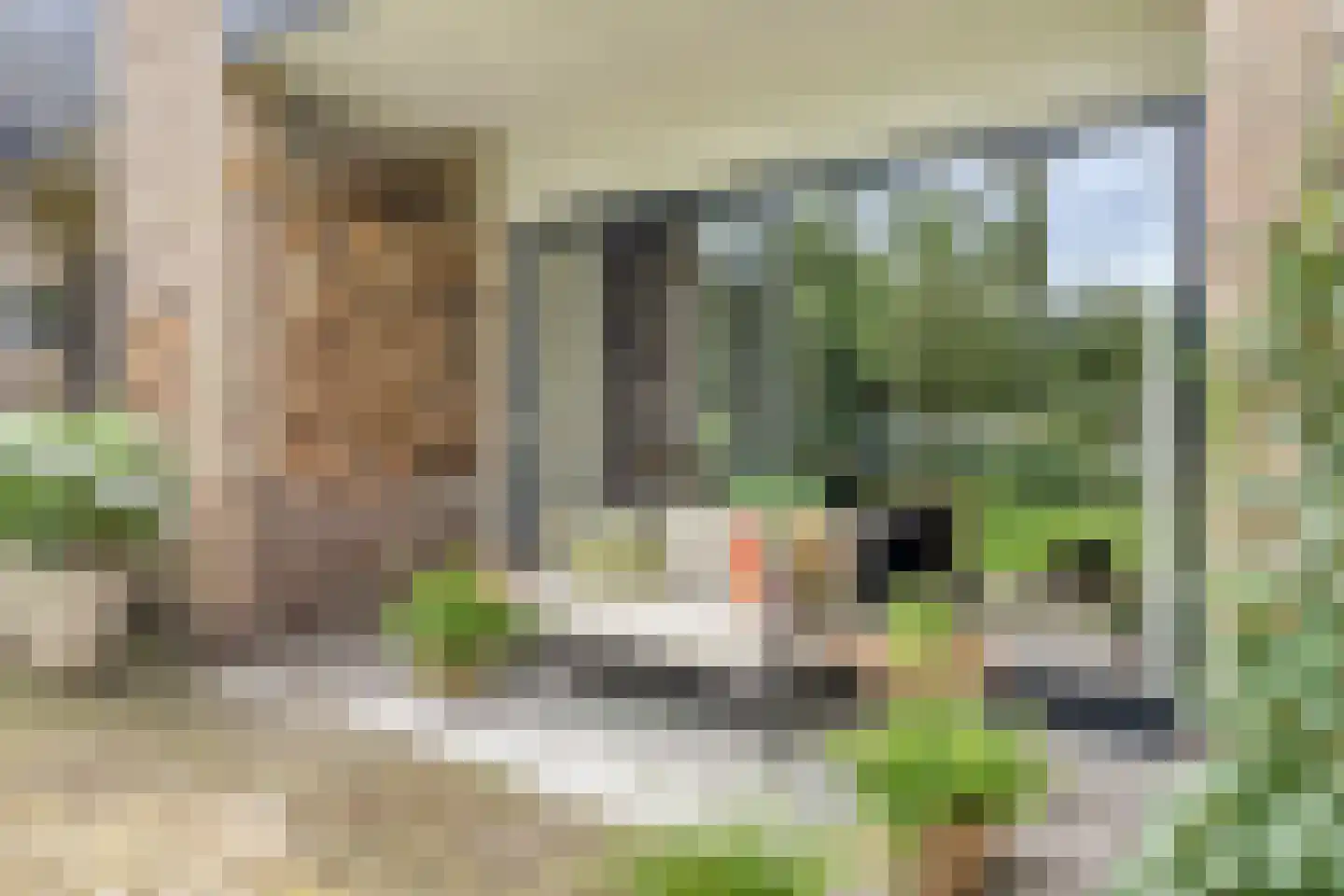 de IJsvogel 13 Denekamp thumbnail 25