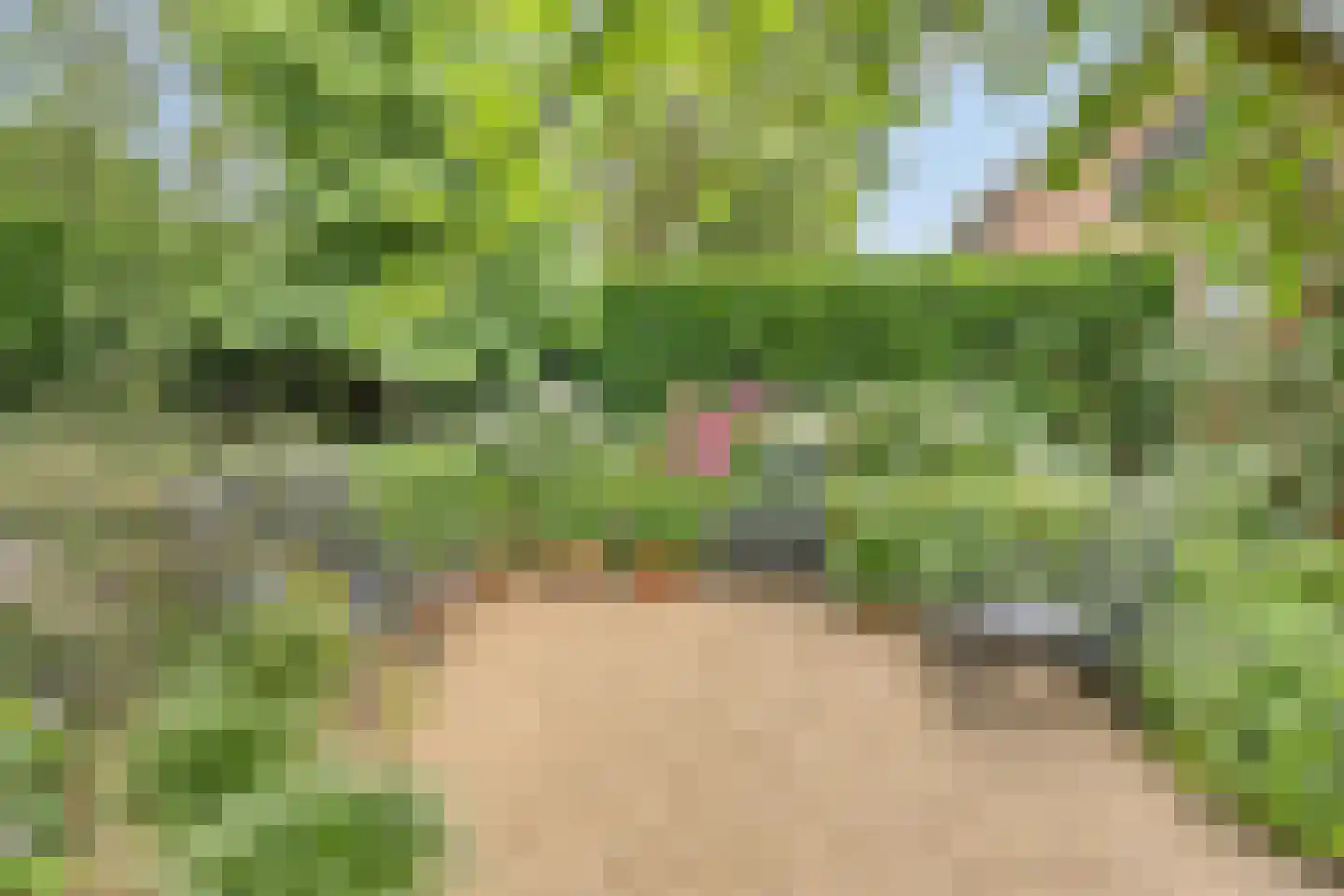 de IJsvogel 13 Denekamp thumbnail 26