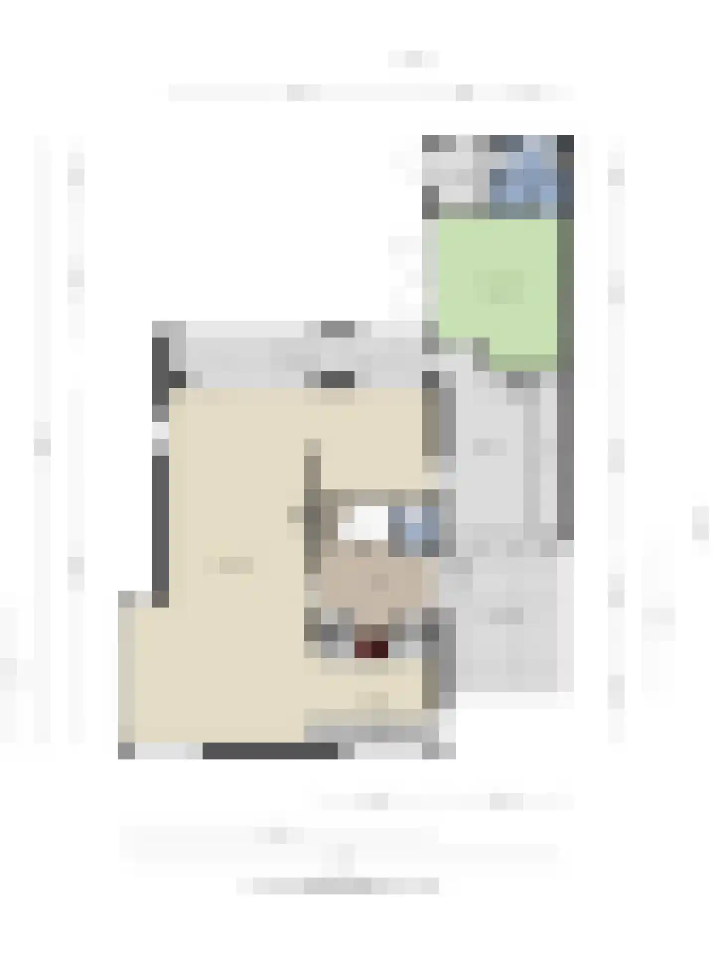 de IJsvogel 13 Denekamp thumbnail 27
