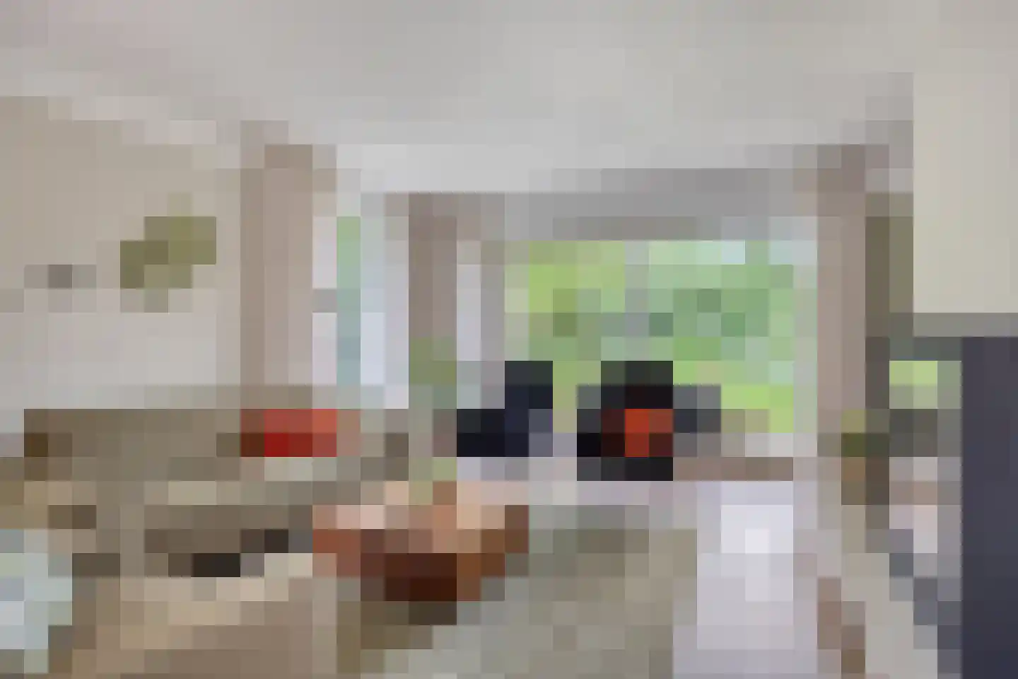 de IJsvogel 13 Denekamp foto 3