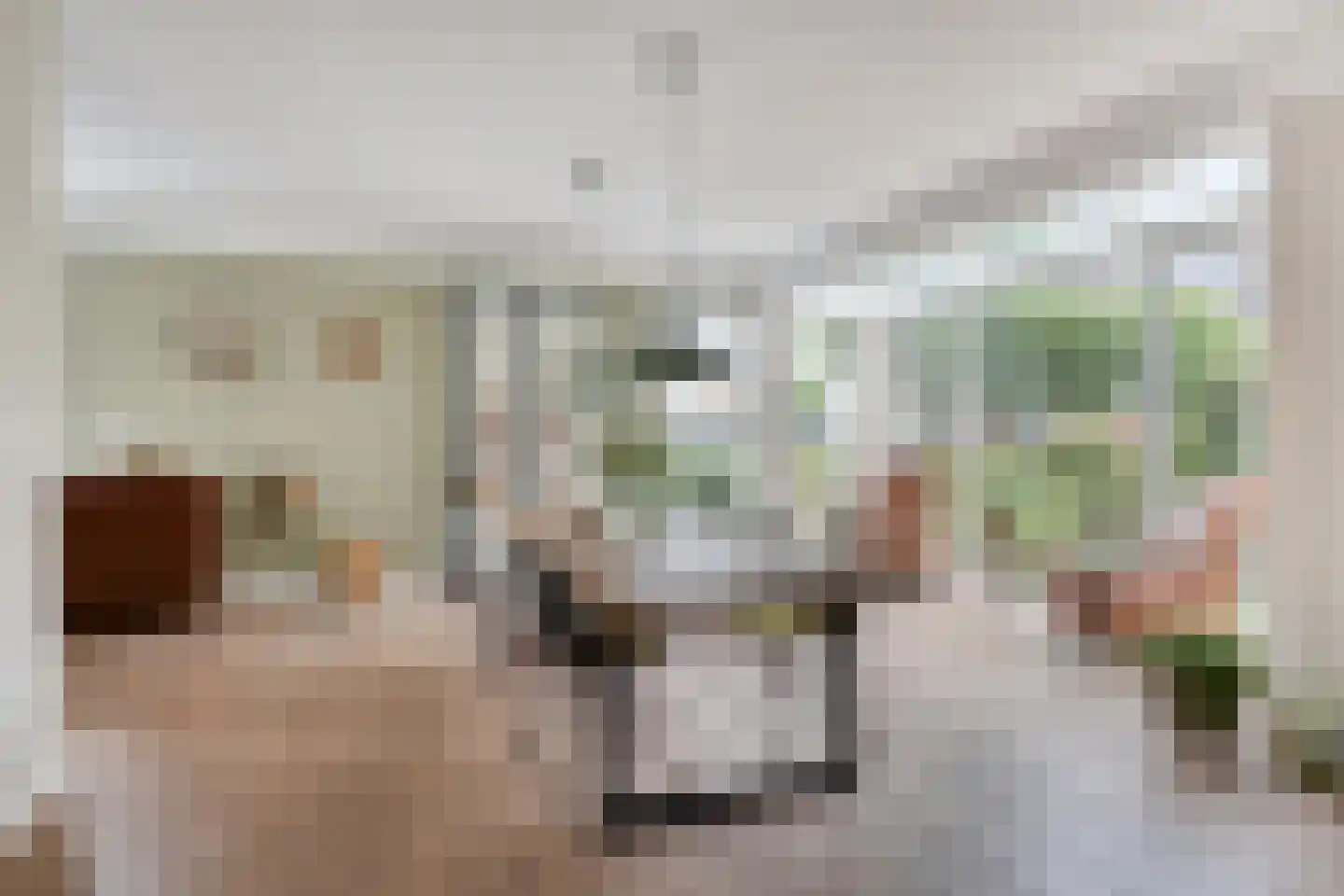 de IJsvogel 13 Denekamp thumbnail 5