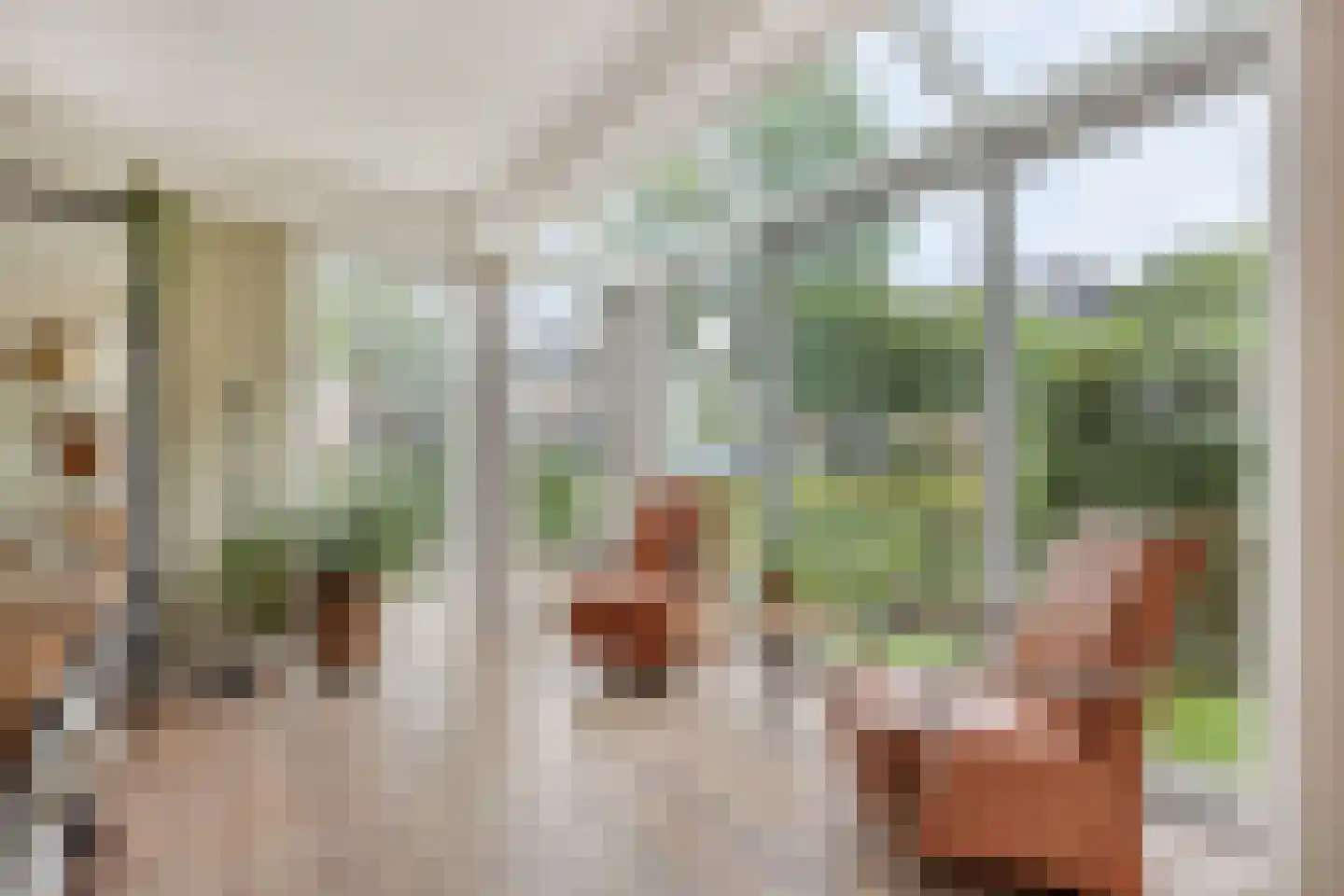 de IJsvogel 13 Denekamp thumbnail 7
