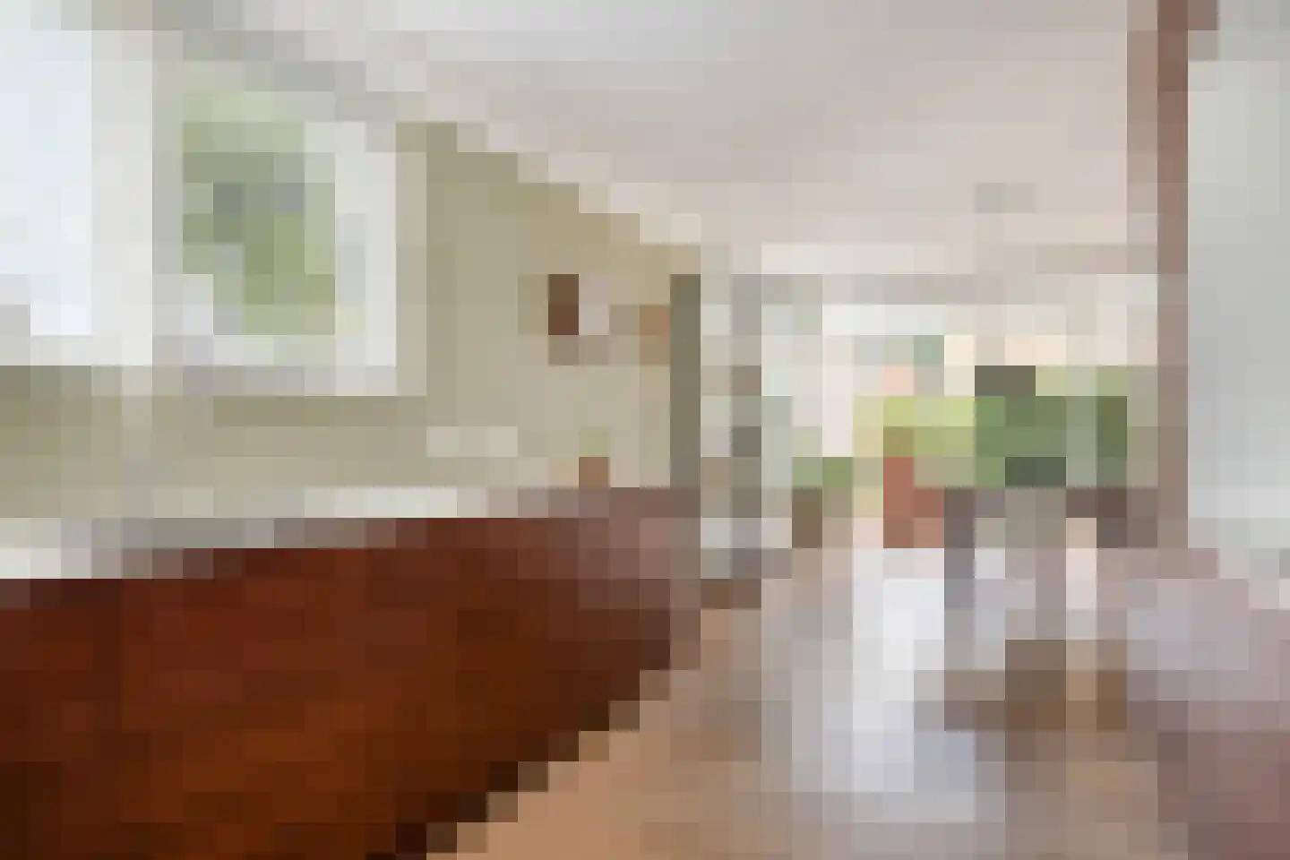 de IJsvogel 13 Denekamp thumbnail 8
