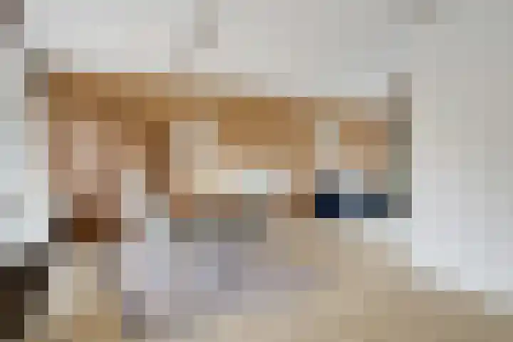 De IJsvogel 17 Delden thumbnail 14
