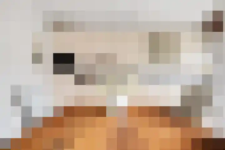 De IJsvogel 17 Delden thumbnail 16