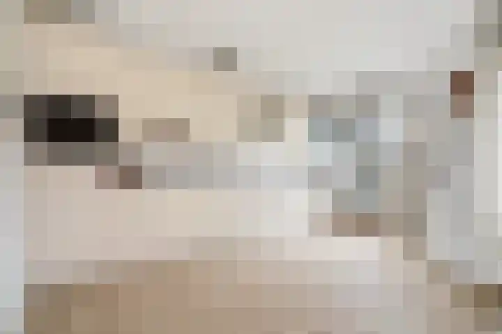 De IJsvogel 17 Delden thumbnail 17