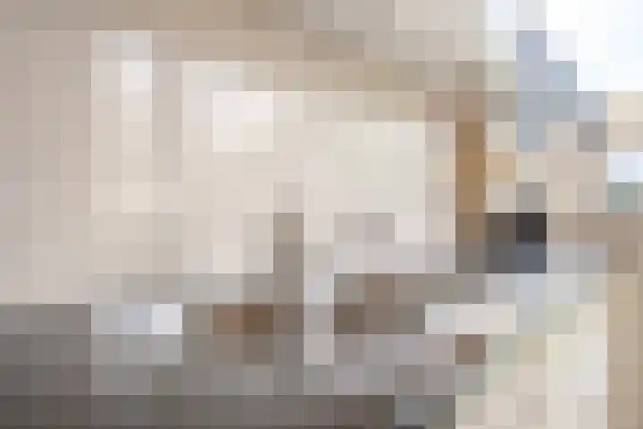 De IJsvogel 17 Delden thumbnail 20