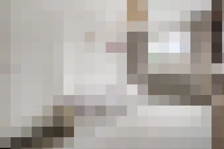 De IJsvogel 17 Delden thumbnail 23