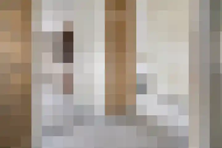 De IJsvogel 17 Delden thumbnail 25