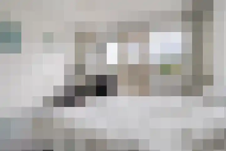 De IJsvogel 17 Delden thumbnail 27