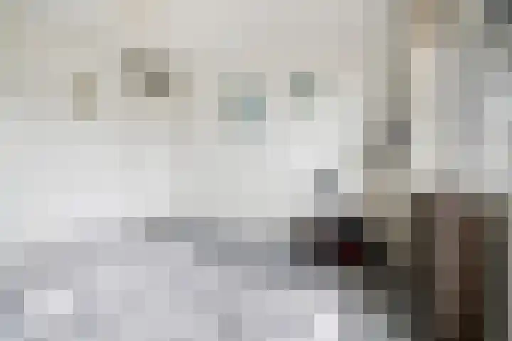 De IJsvogel 17 Delden thumbnail 28
