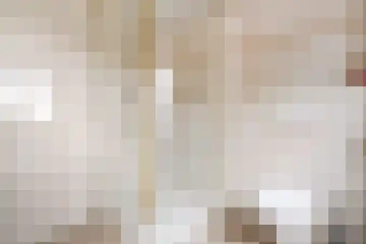 De IJsvogel 17 Delden thumbnail 32