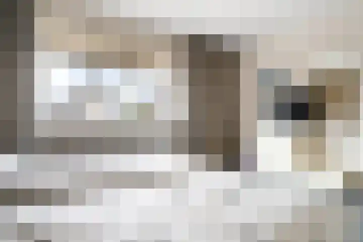 De IJsvogel 17 Delden thumbnail 34