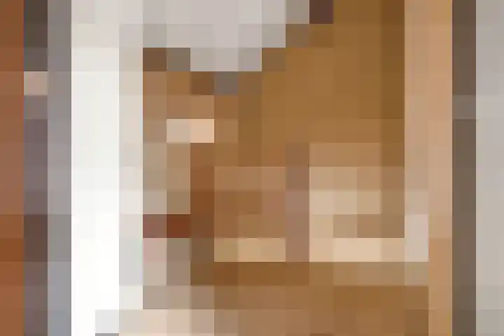 De IJsvogel 17 Delden thumbnail 35