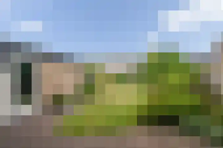 De IJsvogel 17 Delden thumbnail 4