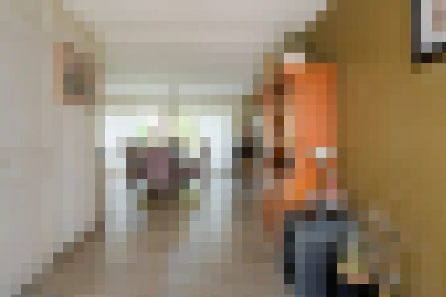 De IJsvogel 21 Almelo thumbnail 10