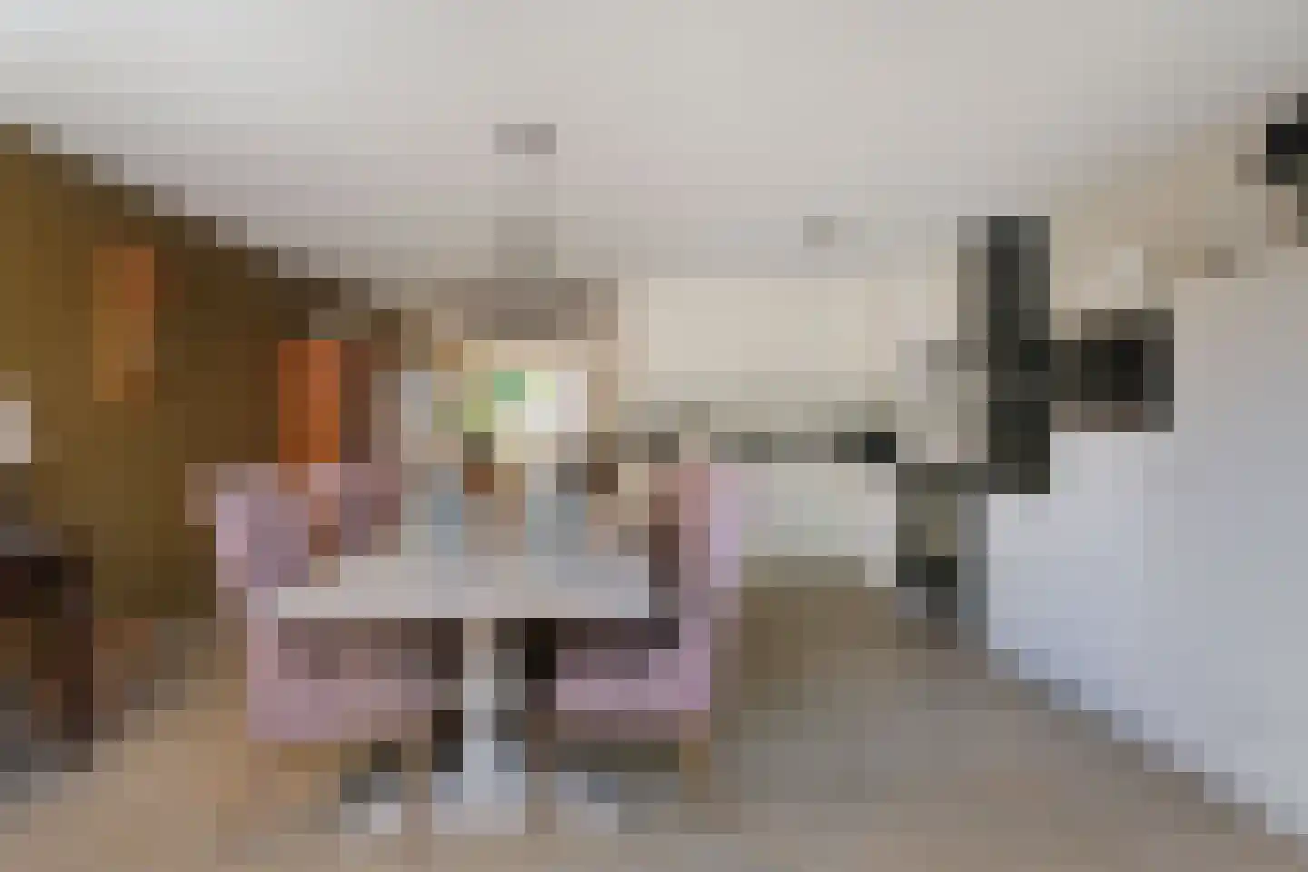 De IJsvogel 21 Almelo thumbnail 12
