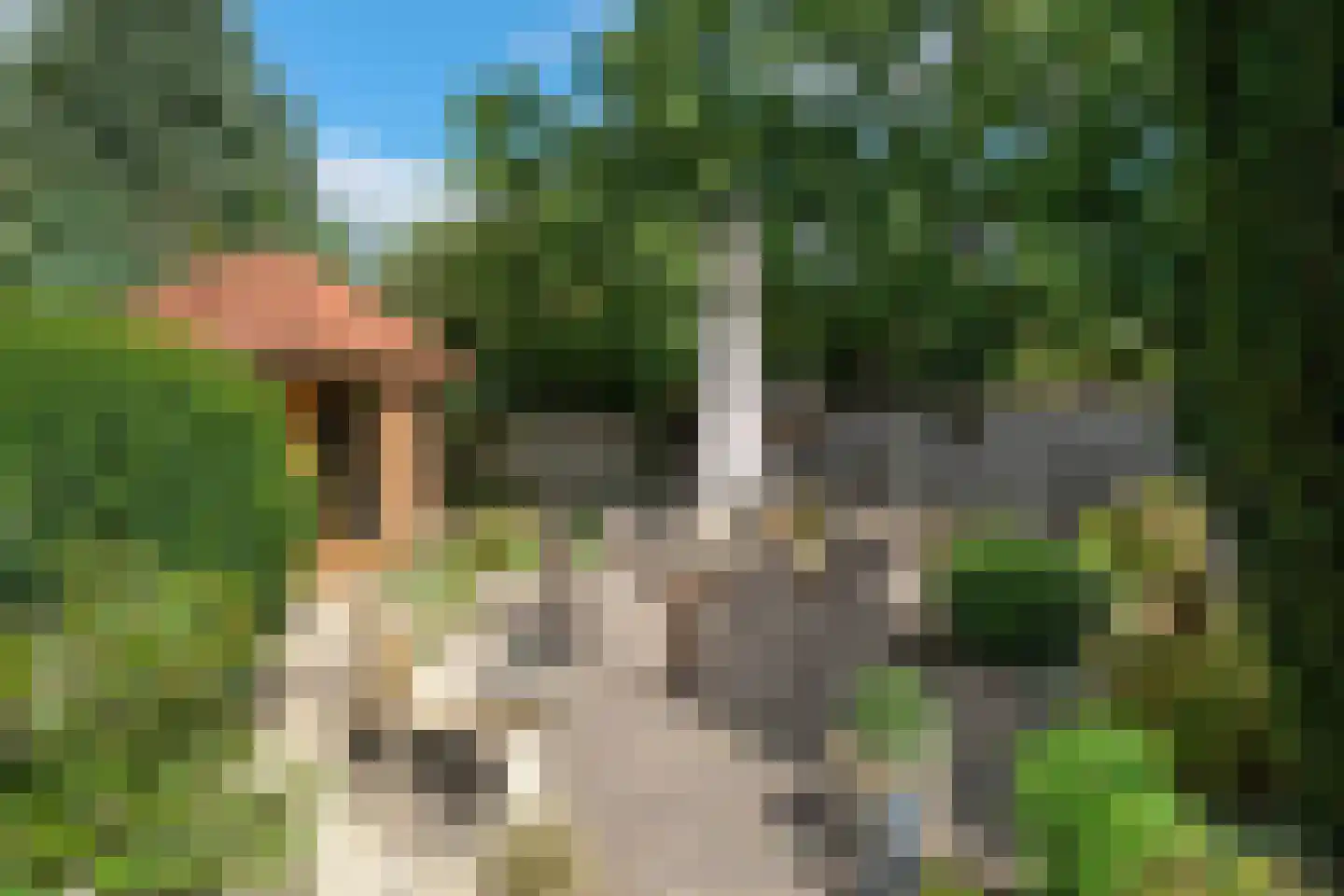 De IJsvogel 21 Almelo thumbnail 17