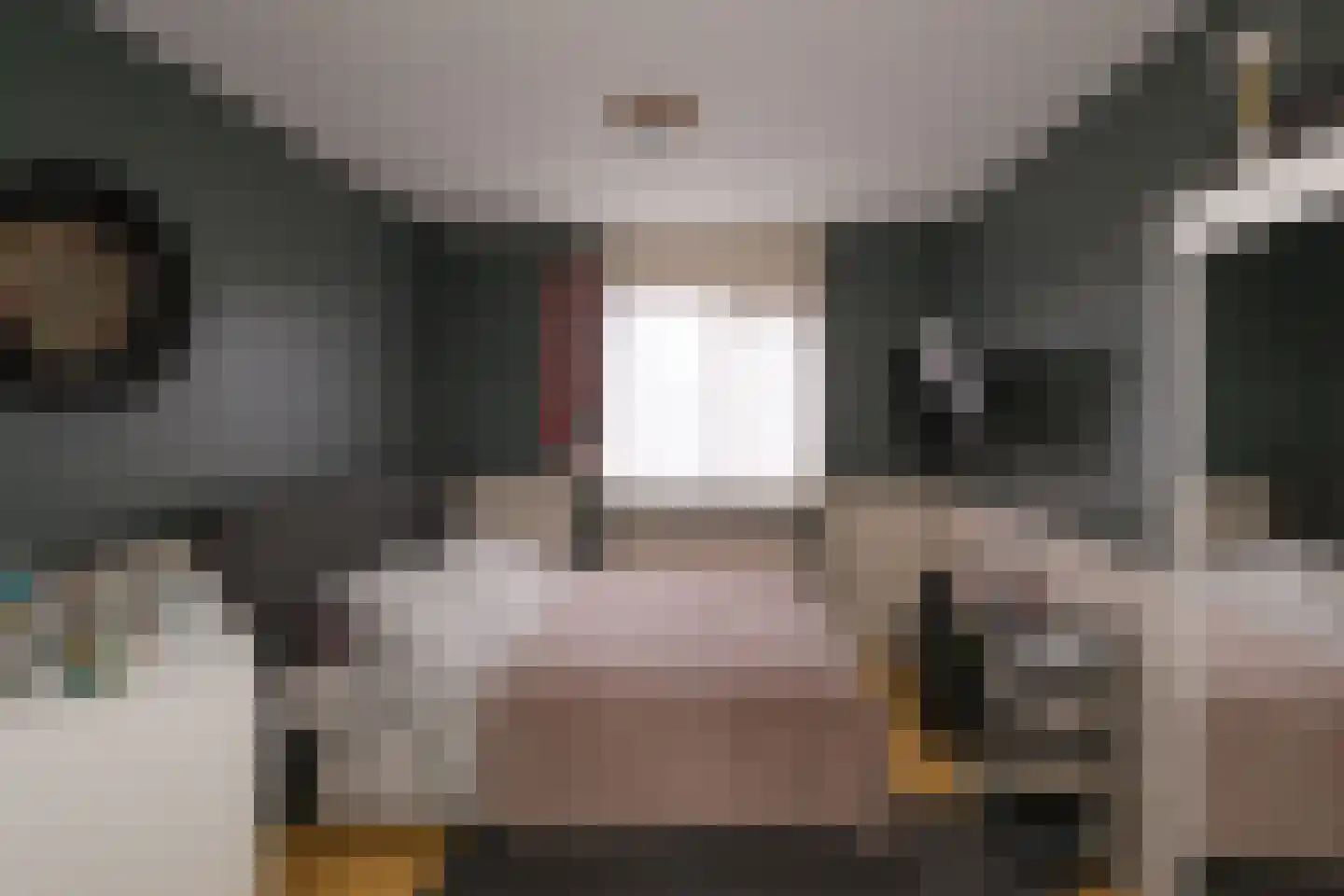De IJsvogel 21 Almelo thumbnail 20