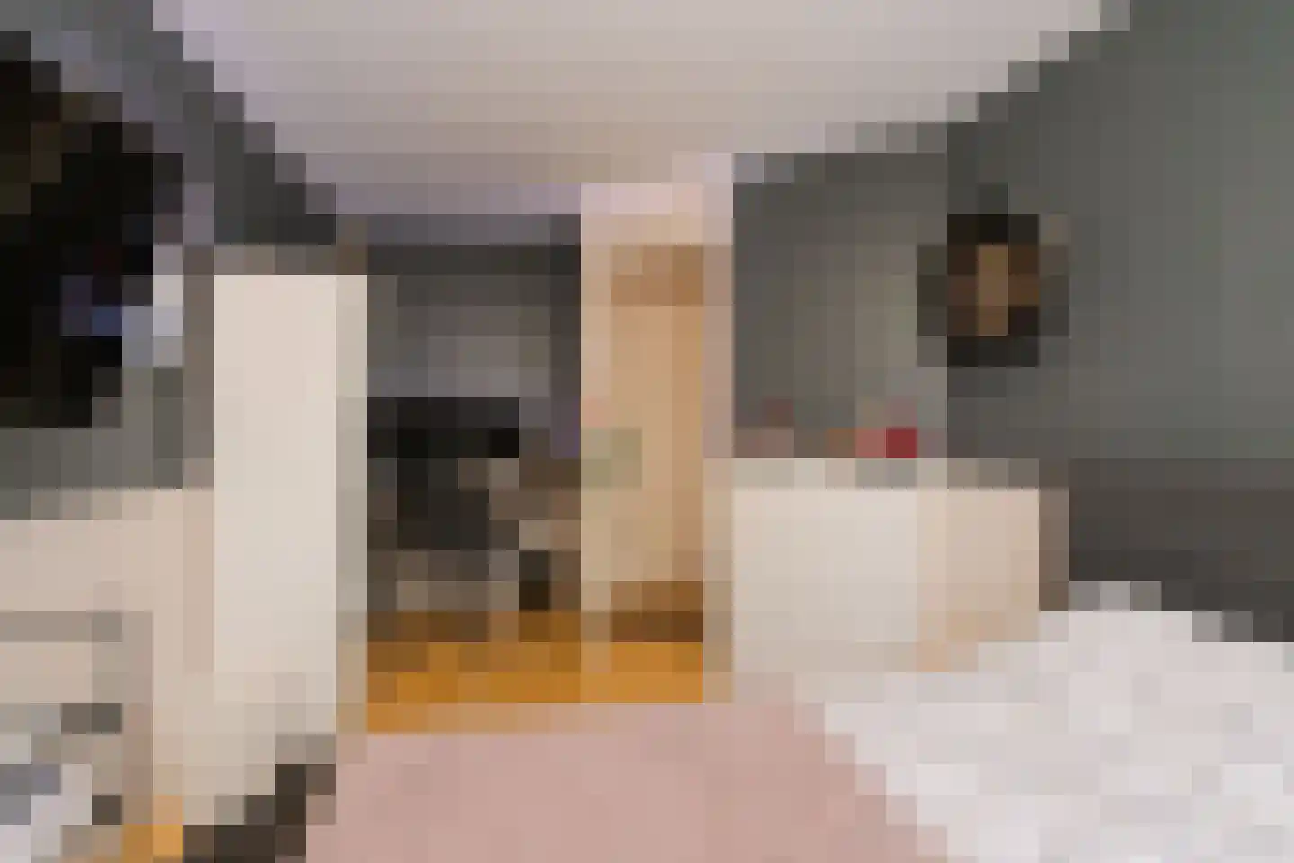 De IJsvogel 21 Almelo thumbnail 21
