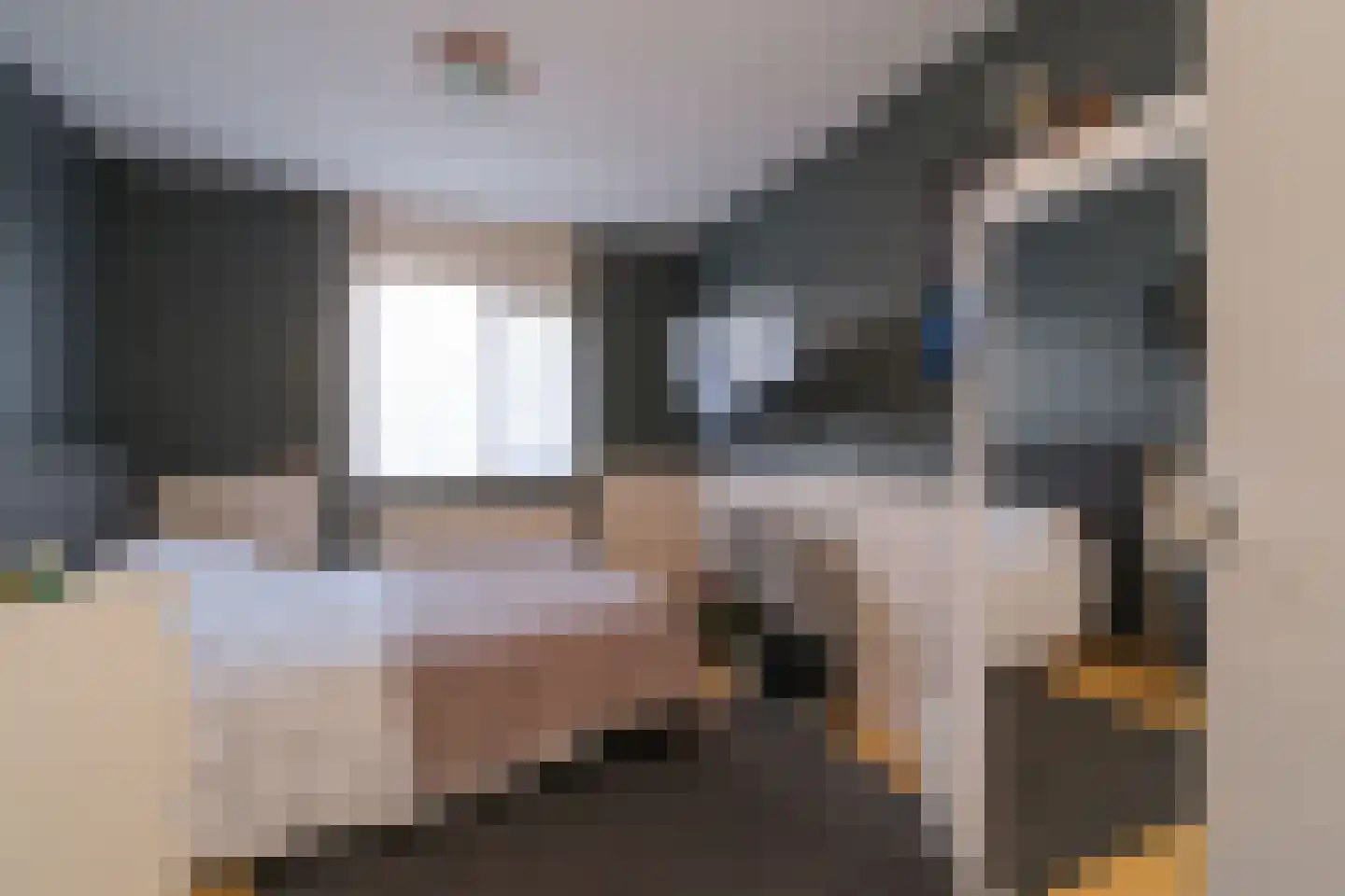 De IJsvogel 21 Almelo thumbnail 22