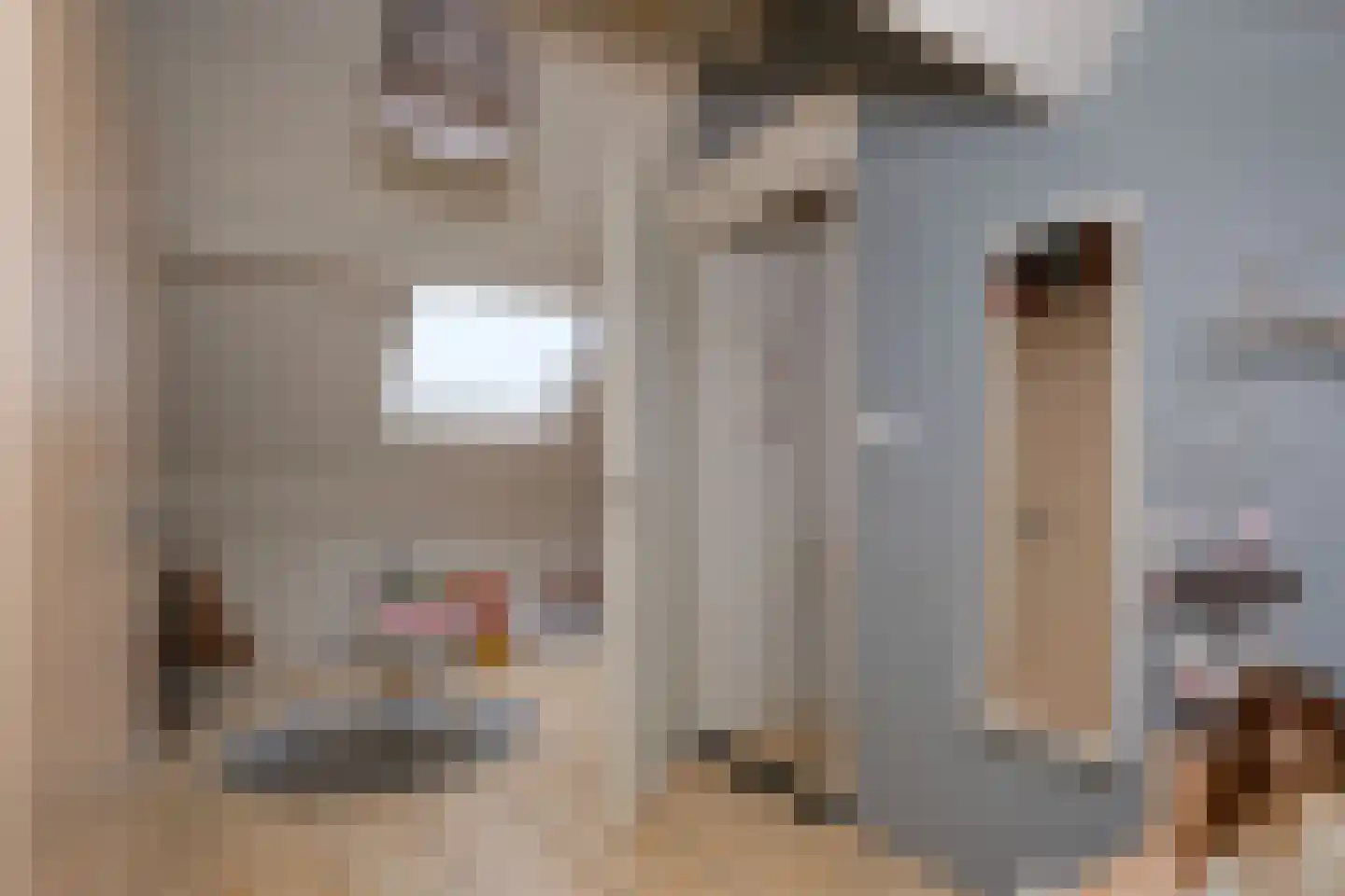 De IJsvogel 21 Almelo thumbnail 27