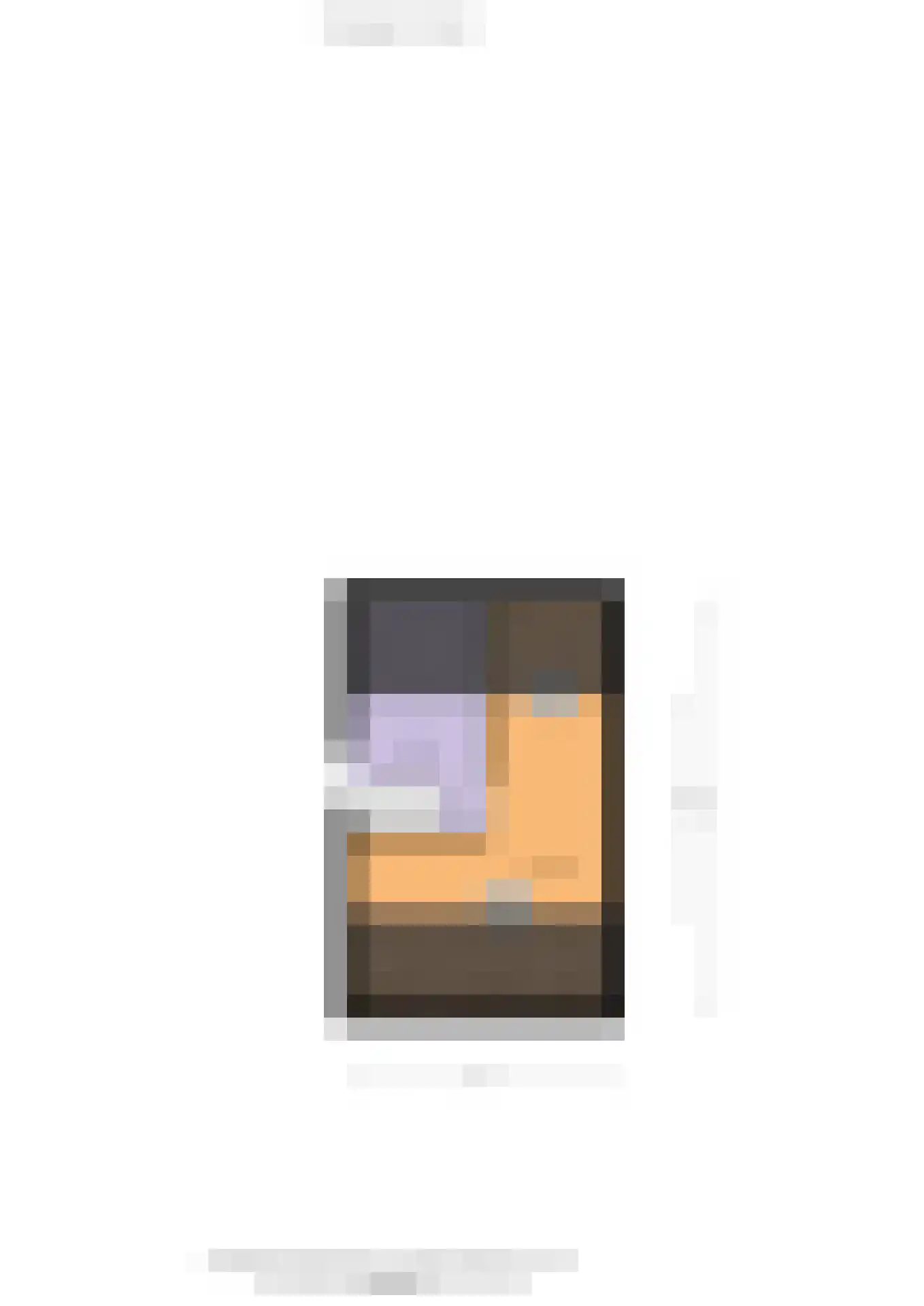De IJsvogel 21 Almelo thumbnail 34