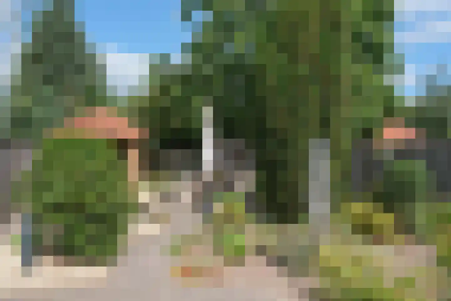 De IJsvogel 21 Almelo thumbnail 5