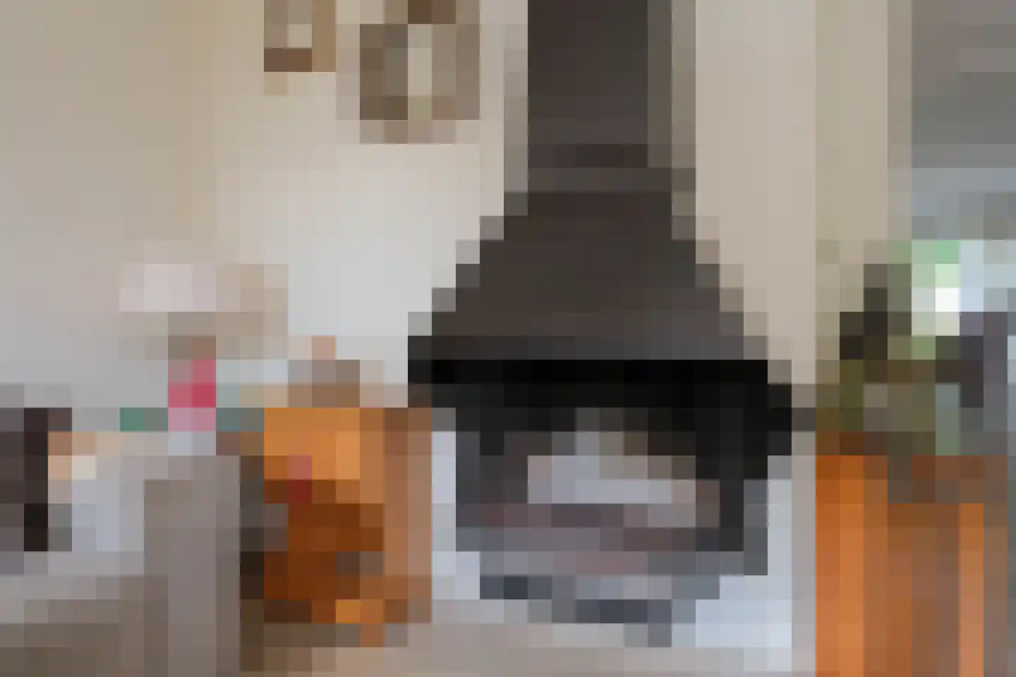 De IJsvogel 21 Almelo thumbnail 8